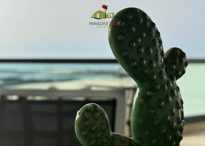 Cactusvibes Apartman Cotillo