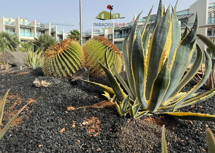 Apartman Cactusvibes *