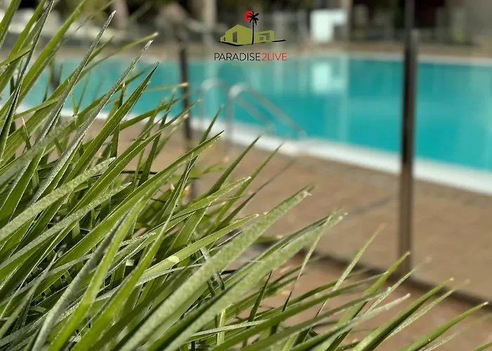 Apartman Cactusvibes Cotillo