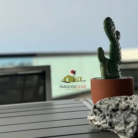 Apartamento Cactusvibes