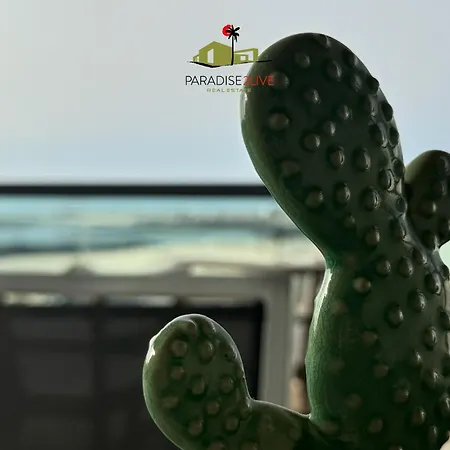 Cactusvibes Apartamento Cotillo