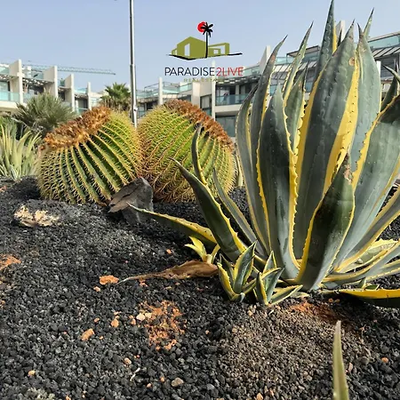 شقة Cactusvibes *