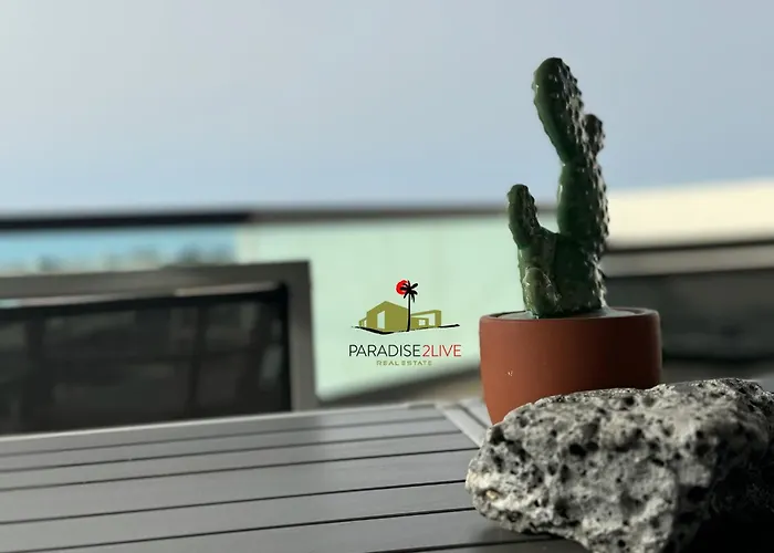 Apartment Cactusvibes