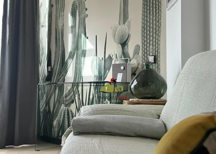Cactusvibes Cotillo
