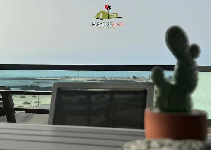 Apartment Cactusvibes *